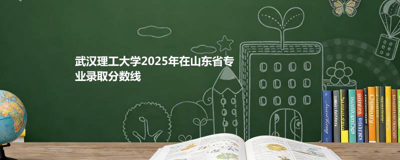 武汉理工大学2025在山东分专业分数线和最低位次