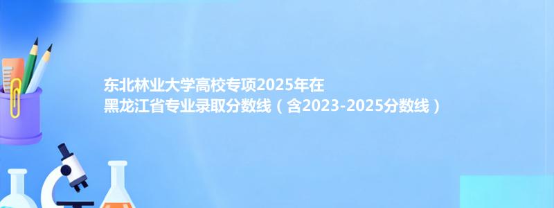 东北林业大学高校专项2025年在黑龙江分数线和最低位次(含2023-2025历年)