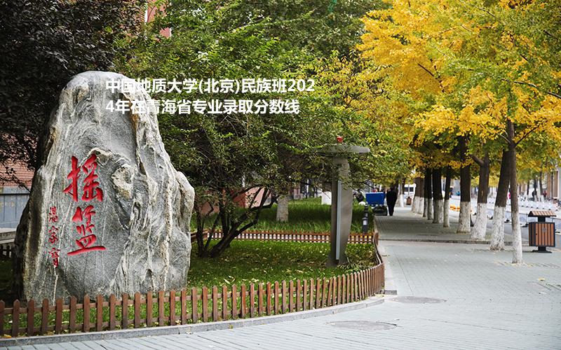 中国地质大学(北京)民族班2024高考青海省专业录取分数线