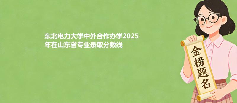 东北电力大学中外合作办学2025在山东分专业最低分和最高分