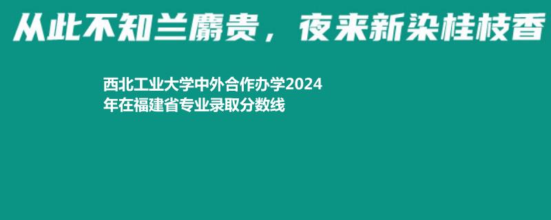 西北工业大学中外合作办学2024福建专业录取分数线