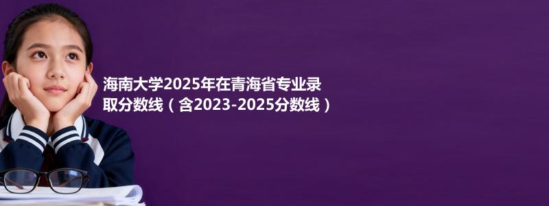 海南大学2025年在青海中外合作办学分数线和最低位次(含2023-2025历年)