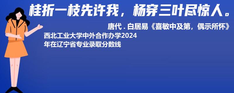 西北工业大学中外合作办学2024辽宁专业录取分数线