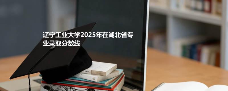 辽宁工业大学2025高考在湖北专业录取最低分详情