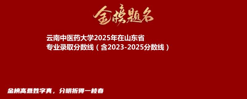 云南中医药大学2025年在山东专业录取分数线(含2023-2025历年)