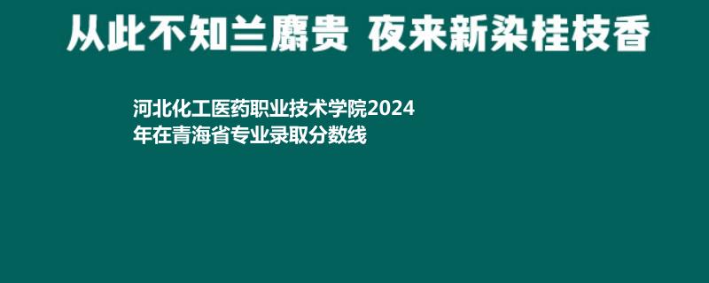 河北化工医药职业技术学院2024年在青海省专业录取分数线