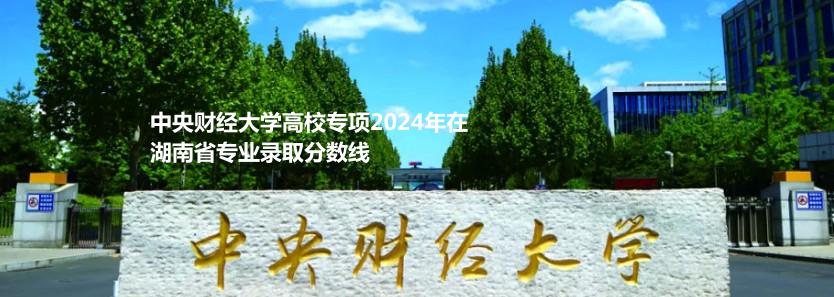 中央财经大学高校专项2024年在湖南省专业录取分数线
