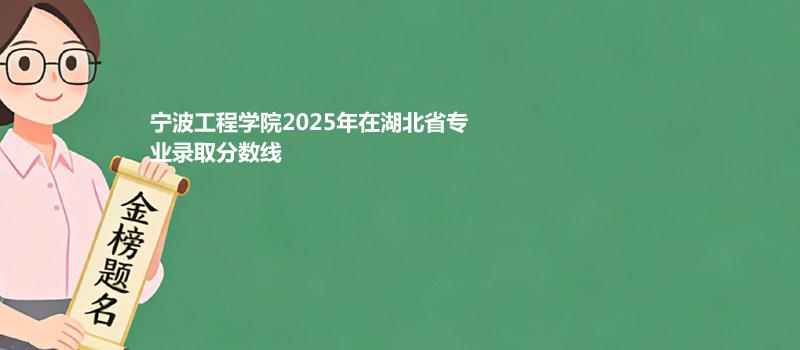 宁波工程学院2025在湖北分专业录取最低分统计表