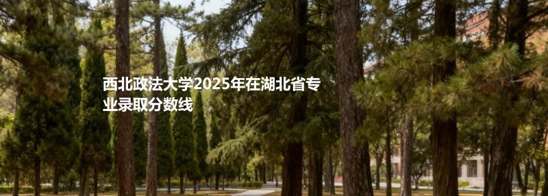 西北政法大学2025高考在湖北分数线：历史类最低599分