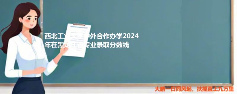 西北工业大学中外合作办学2024黑龙江专业录取分数线