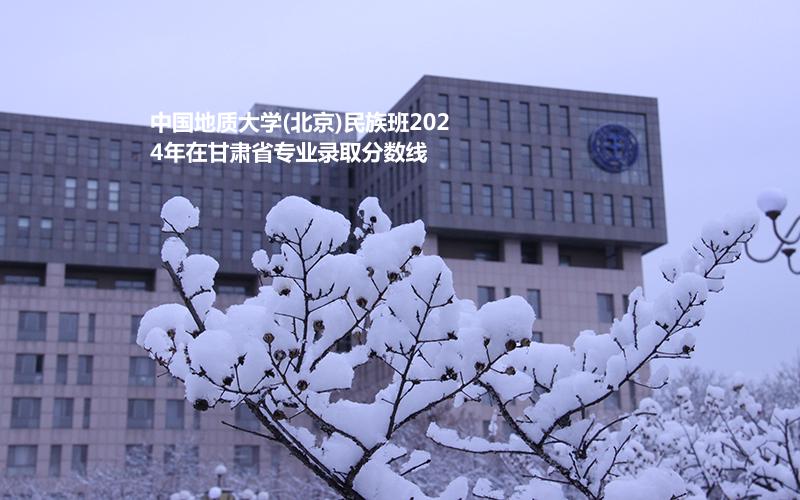 中国地质大学(北京)民族班2024高考甘肃省专业录取分数线