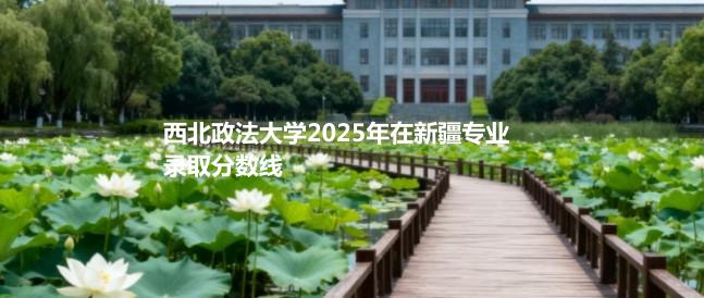 西北政法大学2025新疆录取分数线：文科最低534分