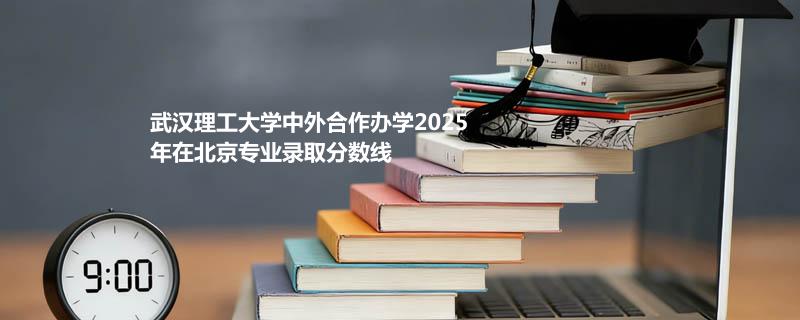 武汉理工大学中外合作办学2025在北京分专业分数线和最低位次