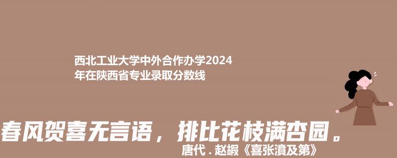 西北工业大学中外合作办学2024陕西专业录取分数线