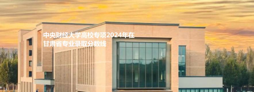 中央财经大学高校专项2024年在甘肃省专业录取分数线
