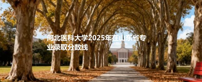 河北医科大学2025在山东专业录取最低分
