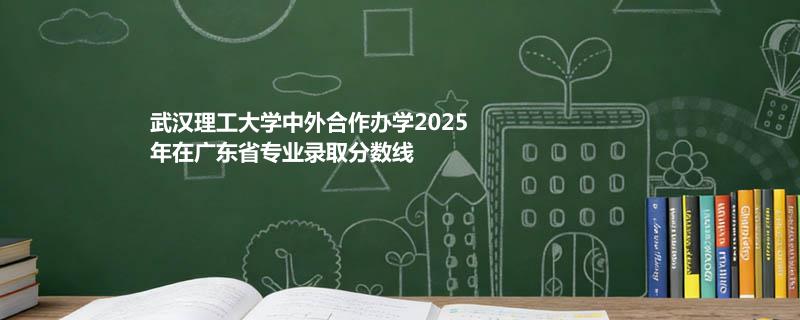 武汉理工大学中外合作办学2025在广东分专业分数线和最低位次