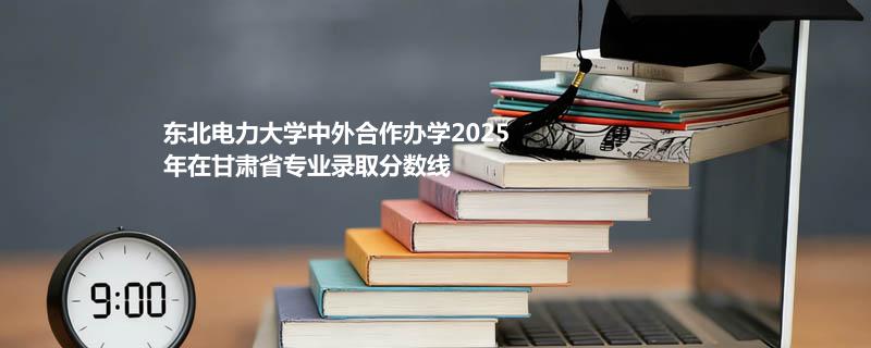东北电力大学中外合作办学2025在甘肃专业录取最低分 容易录取专业汇总