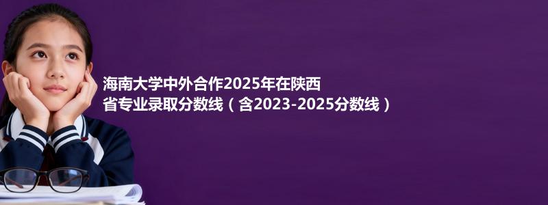海南大学2025年在陕西中外合作办学分数线和最低位次(含2023-2025历年)