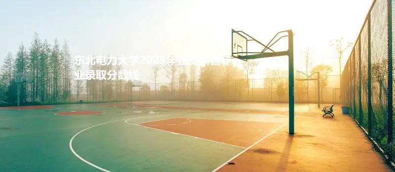 东北电力大学2025在贵州专业最低录取分数