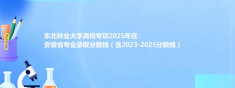 东北林业大学高校专项2025年在安徽分数线和最低位次(含2023-2025历年)