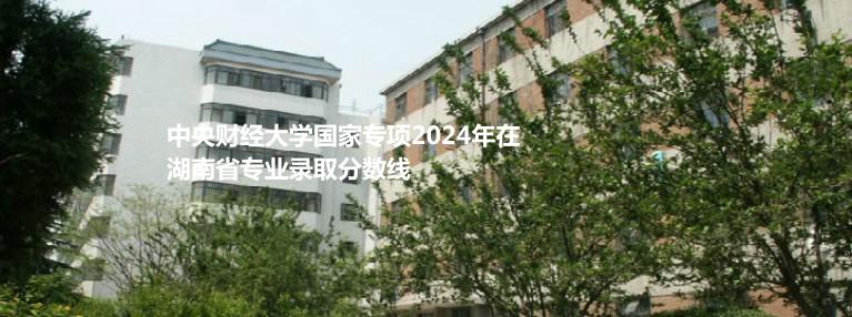 中央财经大学国家专项2024年在湖南省专业录取分数线