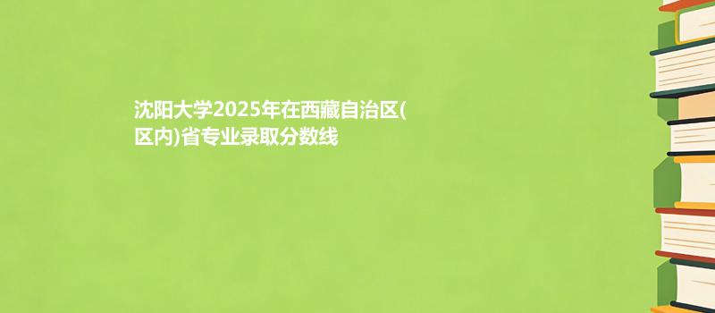 沈阳大学2025高考在西藏自治(内)专业录取最低分数线